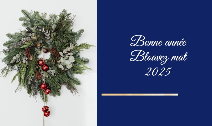 Bonne année – Bloavez mat 2025